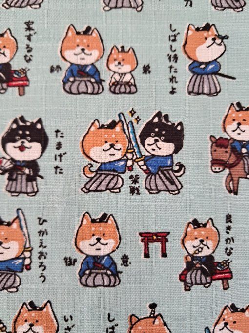 Inu Samouraï