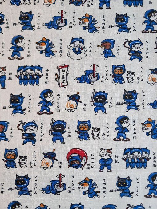 Neko Ninja