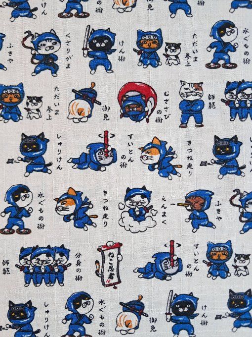 Neko Ninja