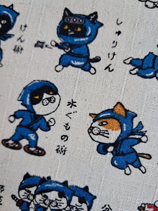 Neko Ninja