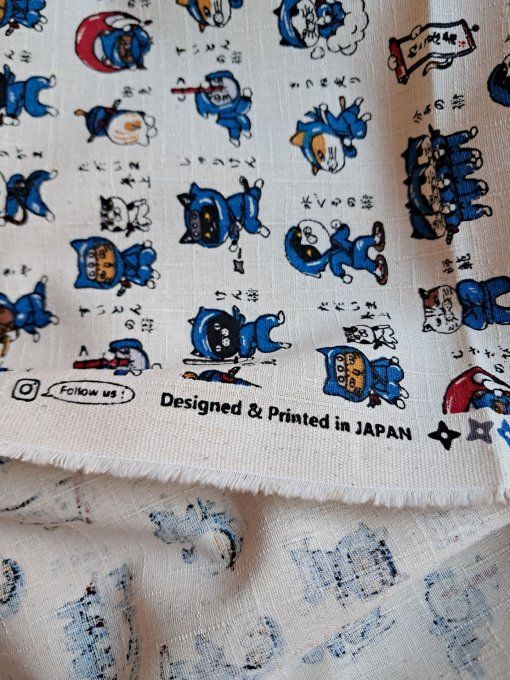 Neko Ninja