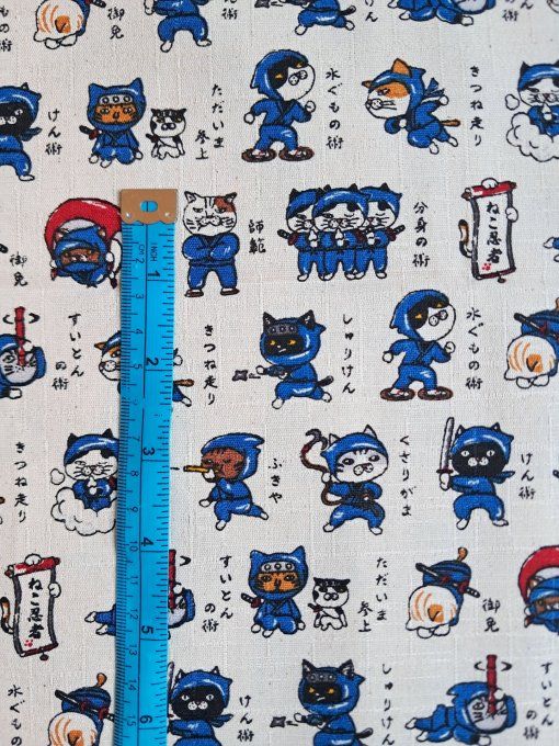 Neko Ninja